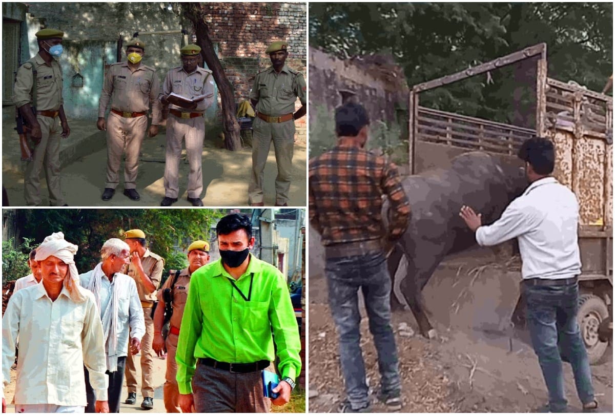 Audio visuals of Hathras scandal will be shown in the High Court on January 16, the lawyers will present the side by seeing