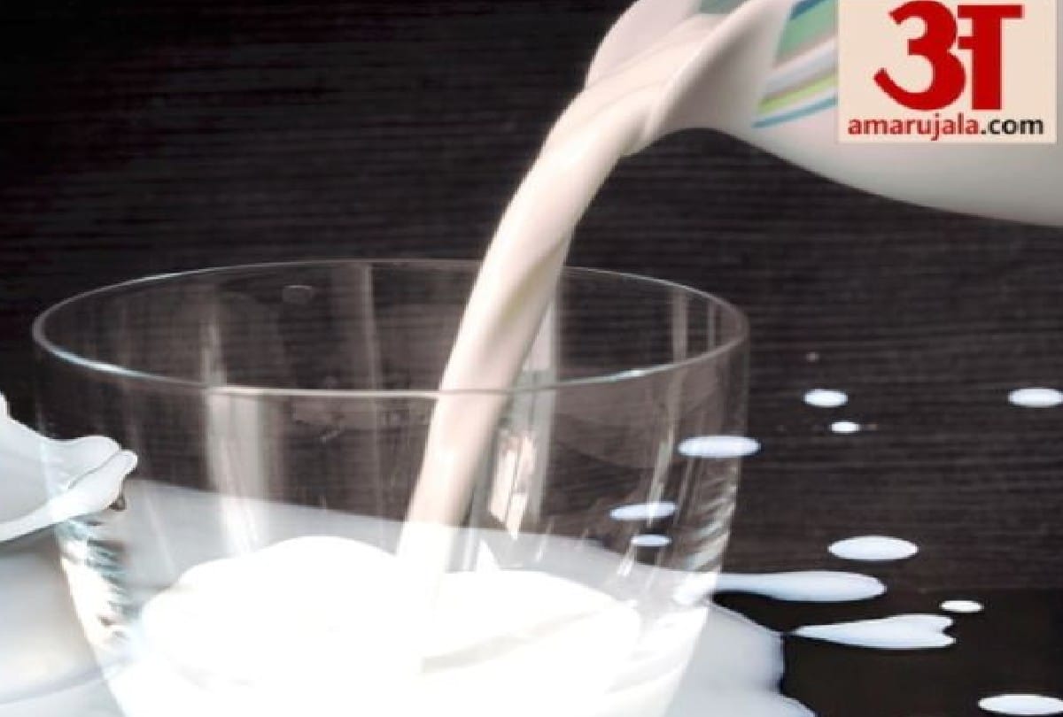samples fail of milk, ghee and oil for adulteration in agra