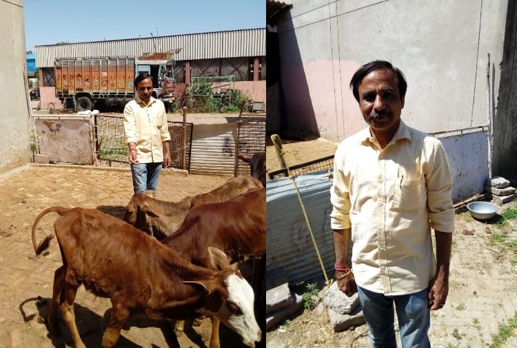 Gauri Shankar Seva dal will Distribute lamps made with cow dung on Diwali
