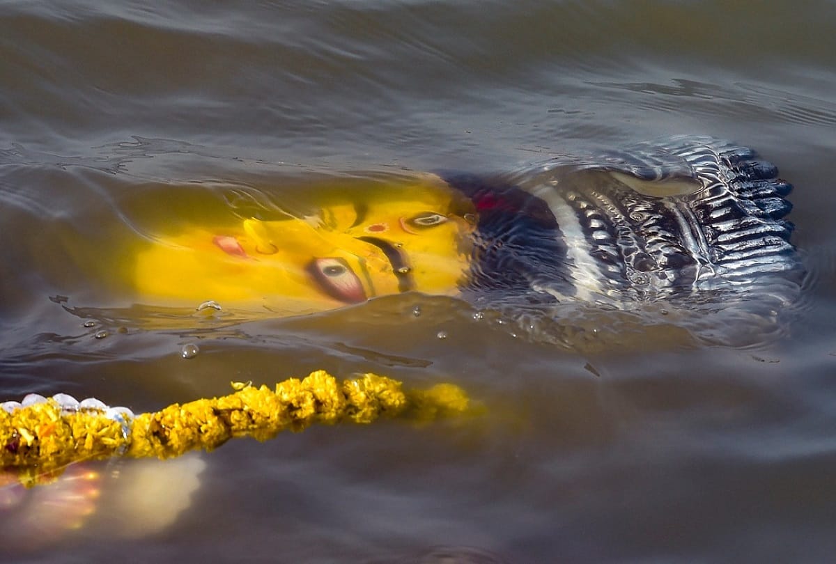 Delhi pollution control board banned Durga idol immersion in Yamuna or any other water body
