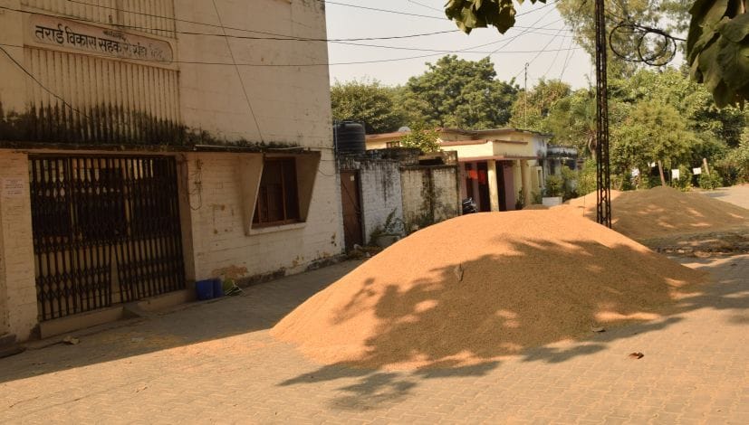 Agriculture