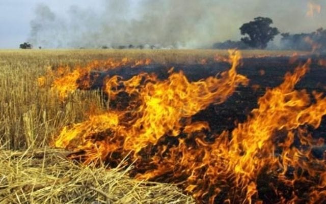 58 farmer fired straw