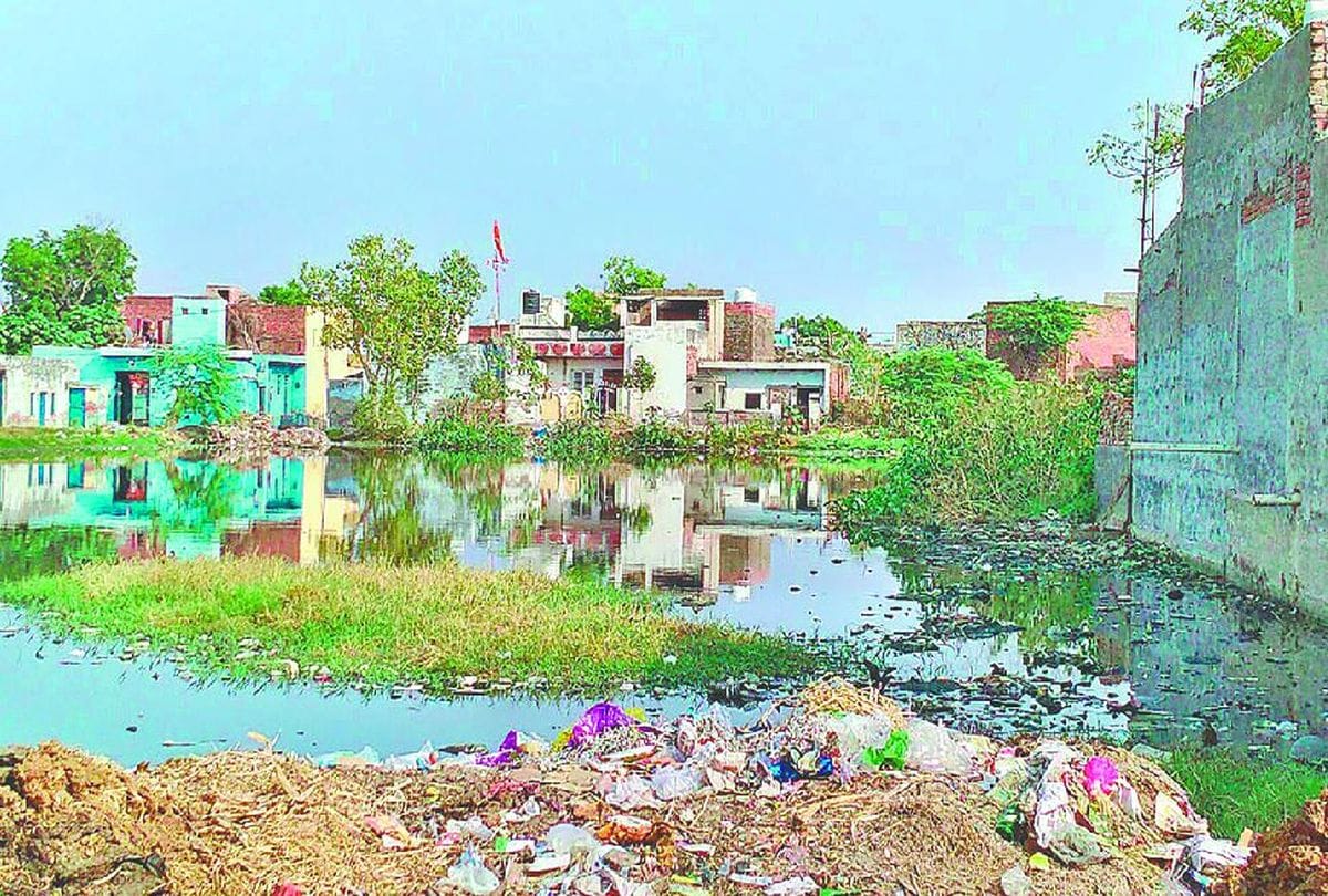 Administration negligent in the conservation of ponds in agra
