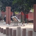 नहीं उठा कूड़ा