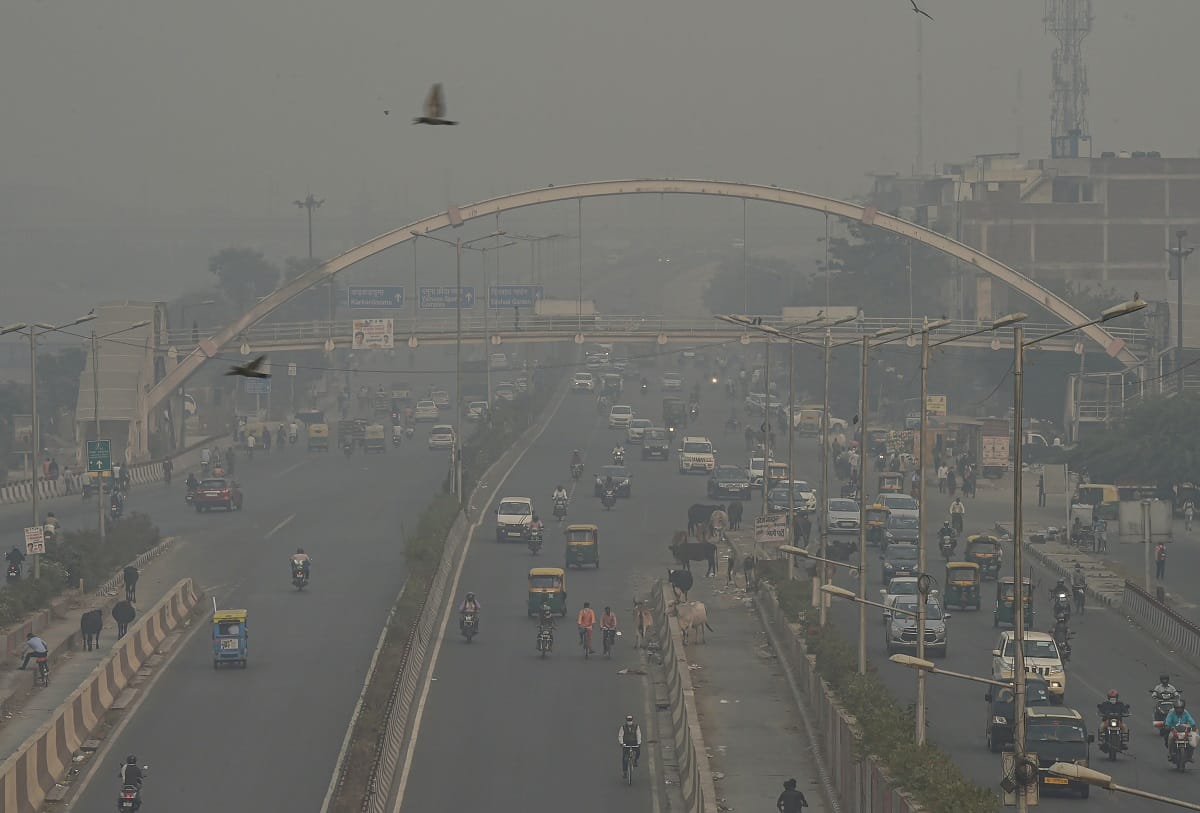 5 superfoods that can help you combact effects of air pollution