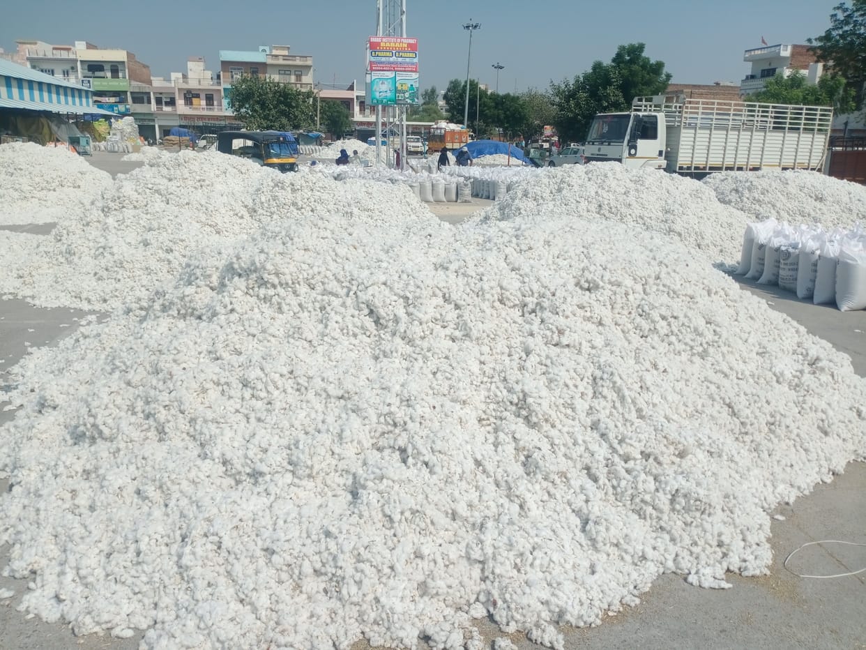 farmers, cotton purchasing price drop, market