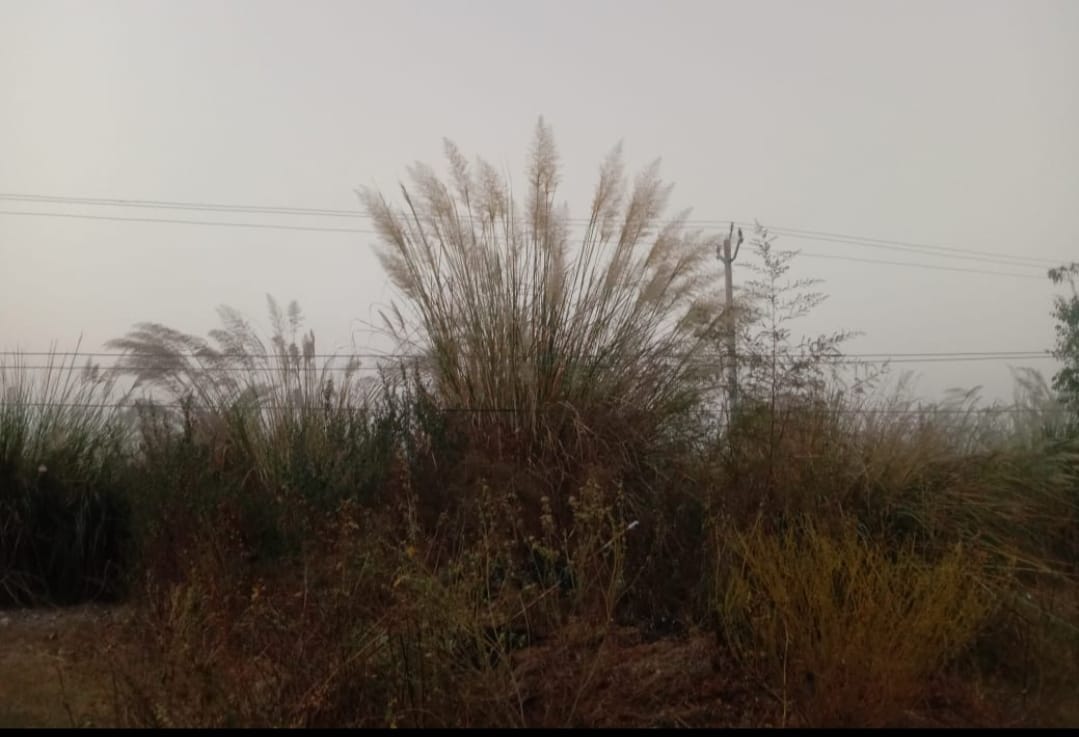 Youth dies due to electric shock, girl scorched