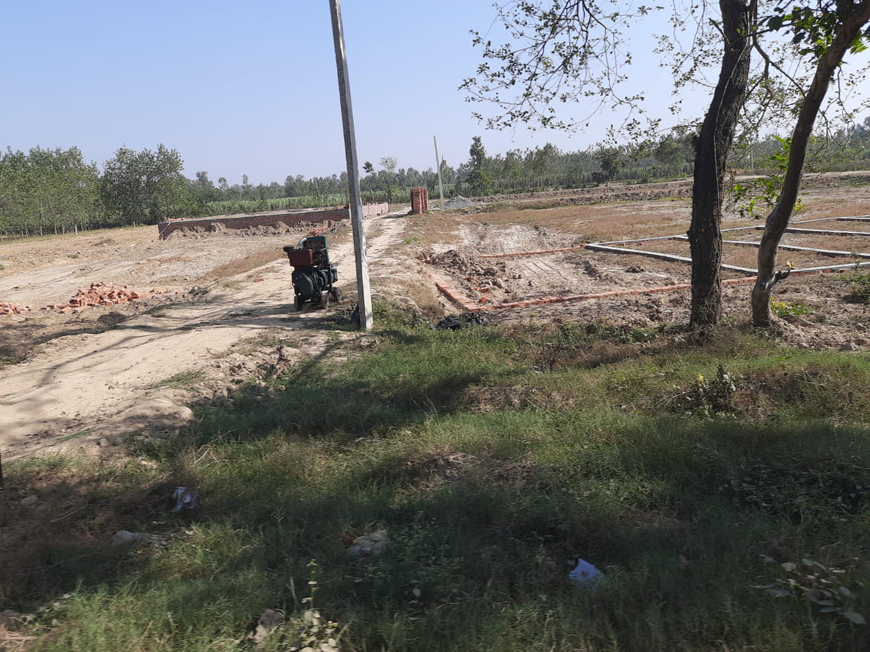 University not yet formed, illegal colonies started to be cut