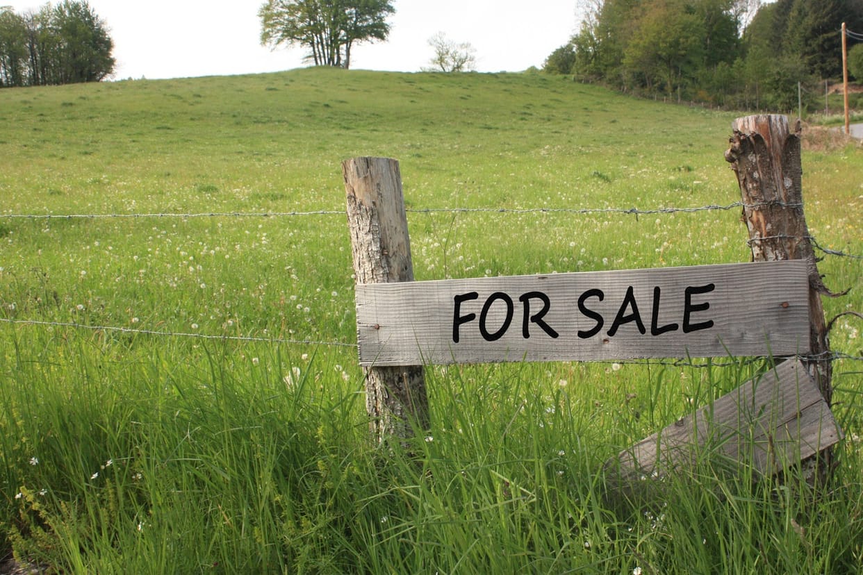 LDA will sell 400 lands for commercial purposes.