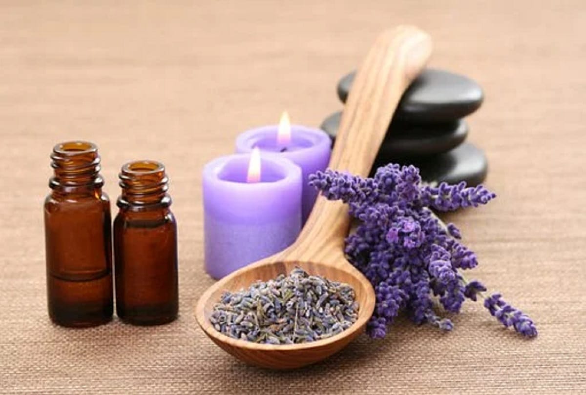 lavender cultivation will give help the farmers in jammu kashmir