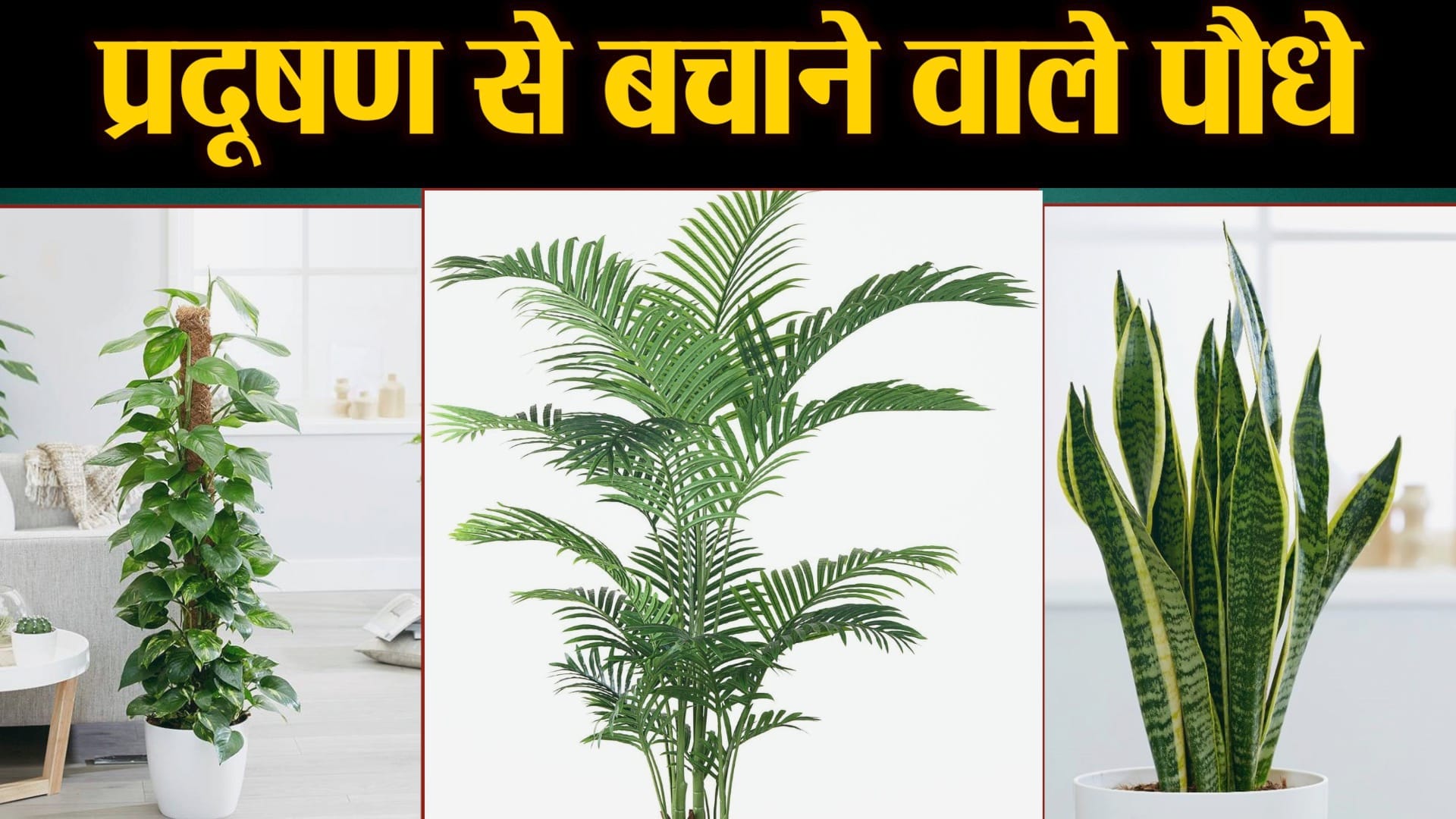 प्रतीकात्मक तस्वीर