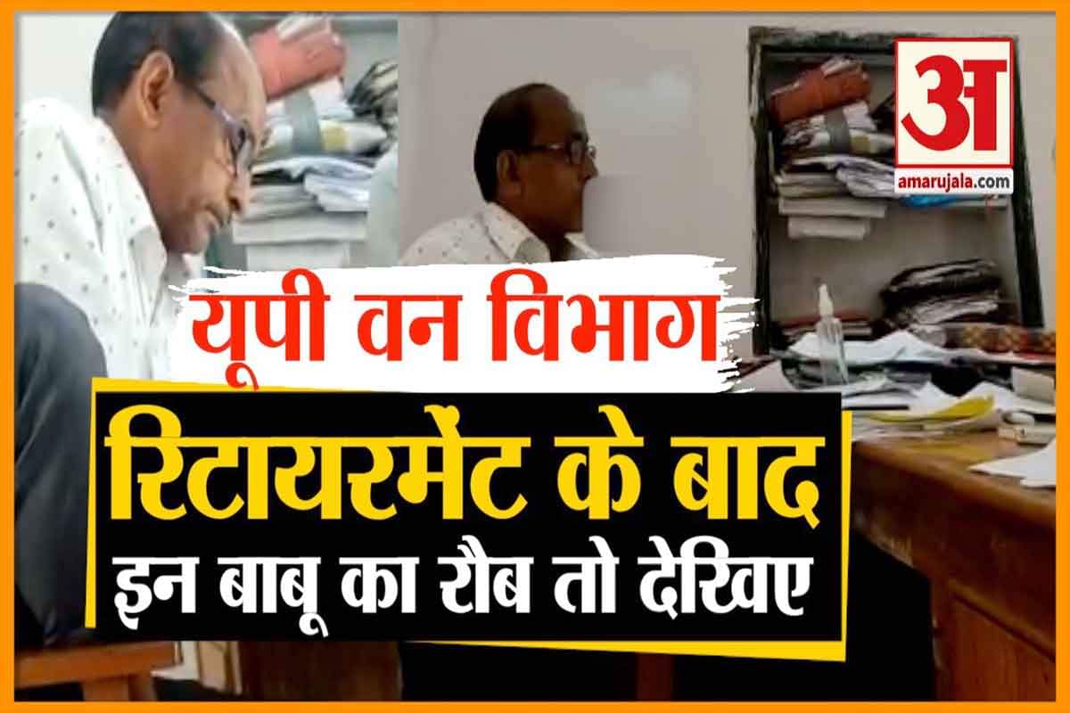 यूपी वन विभाग