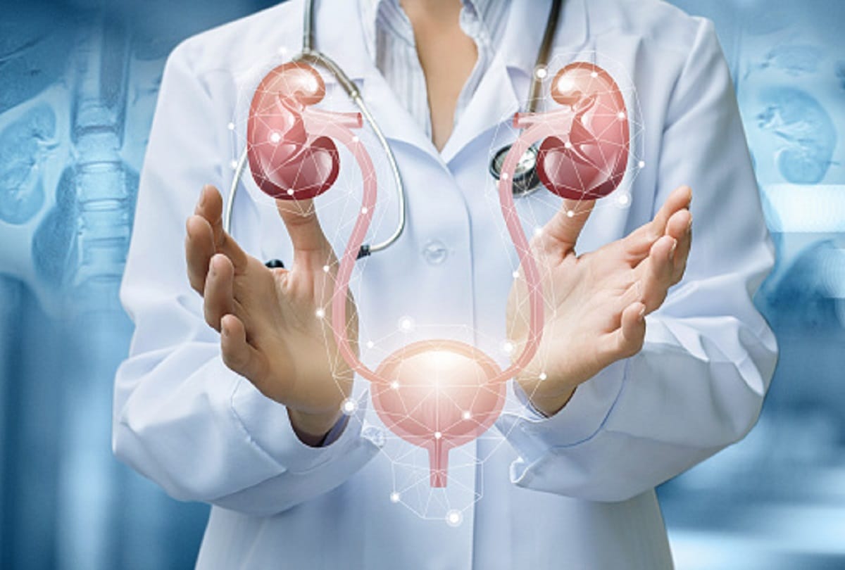 Blood in Urine Hematuria Causes in hindi