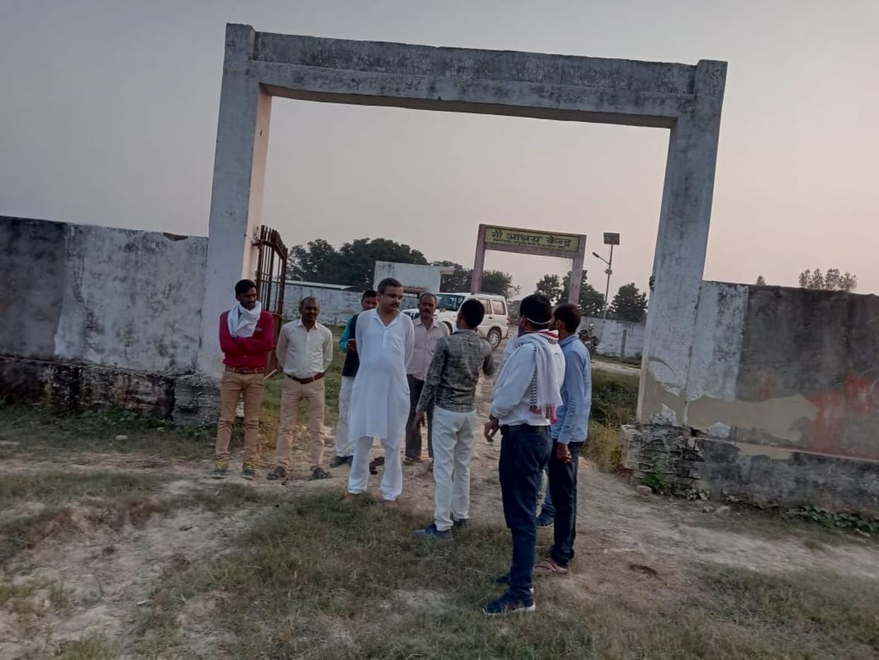 BJP leaders furious after seeing eight cows lying dead in the cowshed