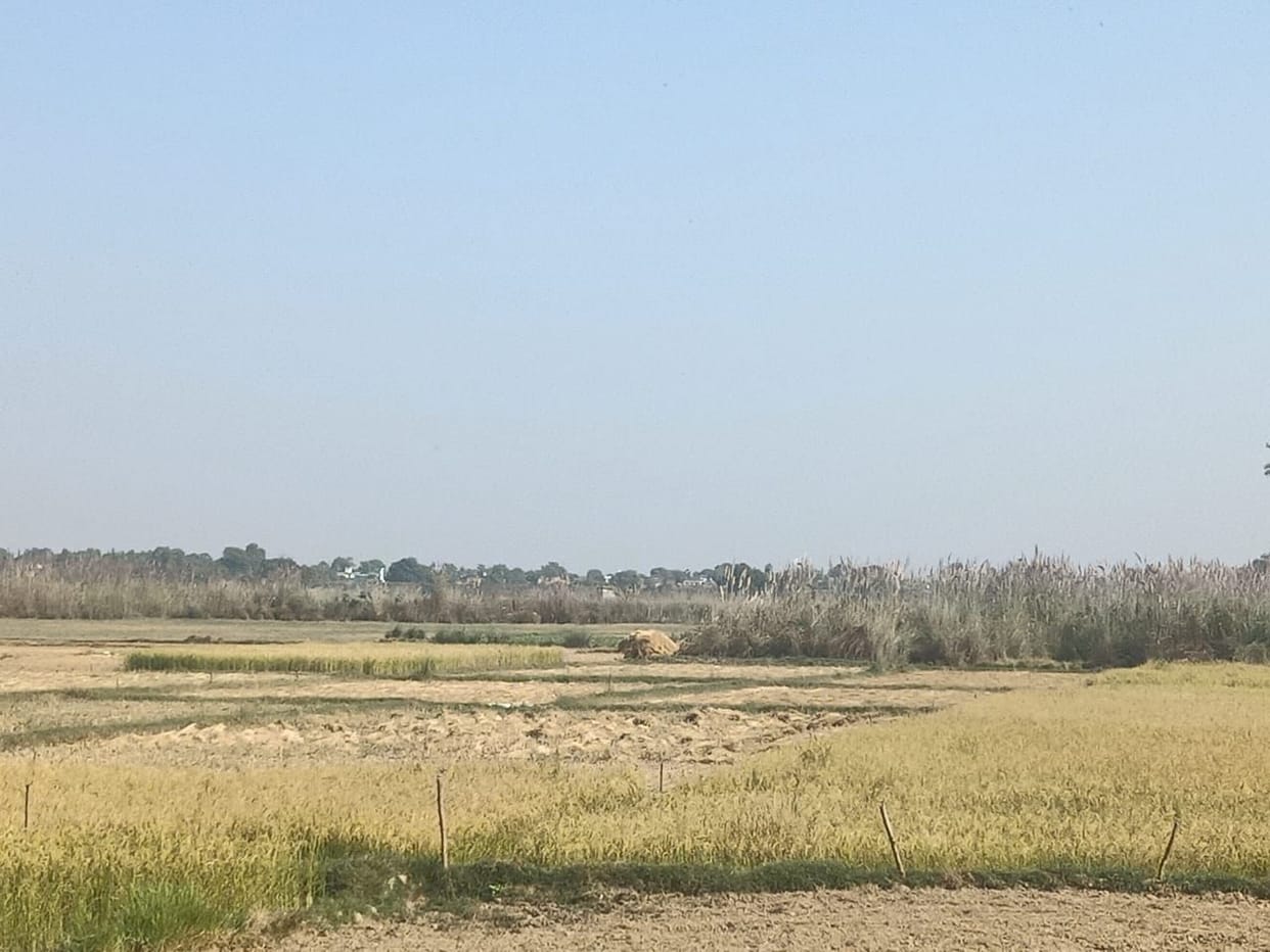 agriculture