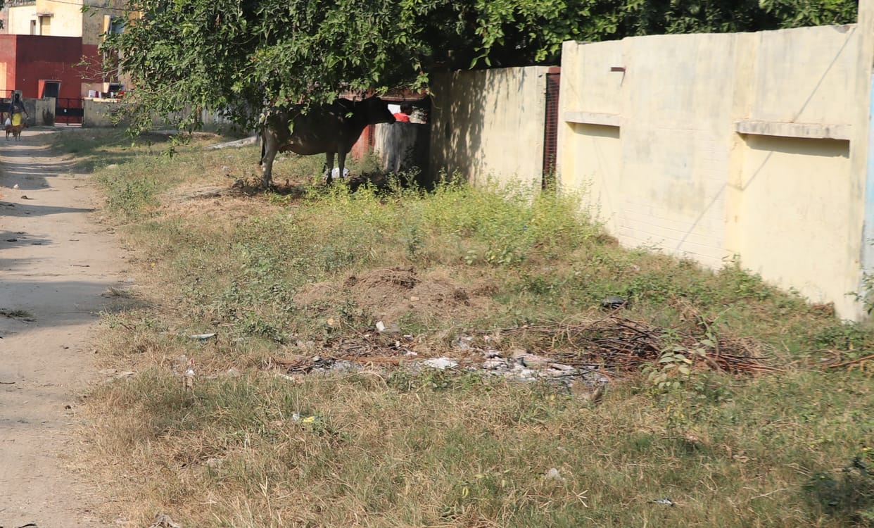 Government colonies are also full of dirt