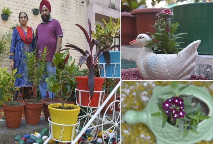 A couple in Chandigarh did gardening at home during lockdown