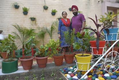 A couple in Chandigarh did gardening at home during lockdown