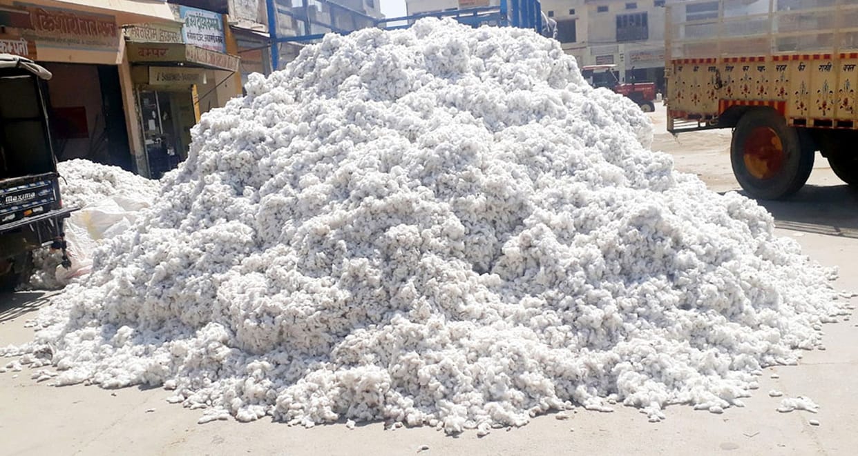 cotton