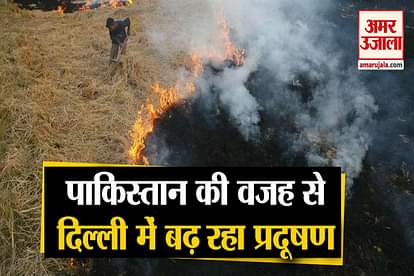 punjab delhi pollution connection with pakistan straw smoke coming from pakistan