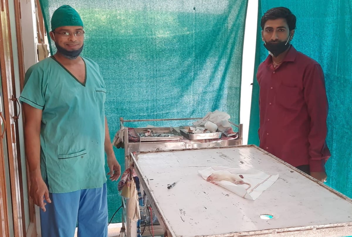 aligarh doctors give new life to rat done surgery took out 25 gram tumour from eyes see photos