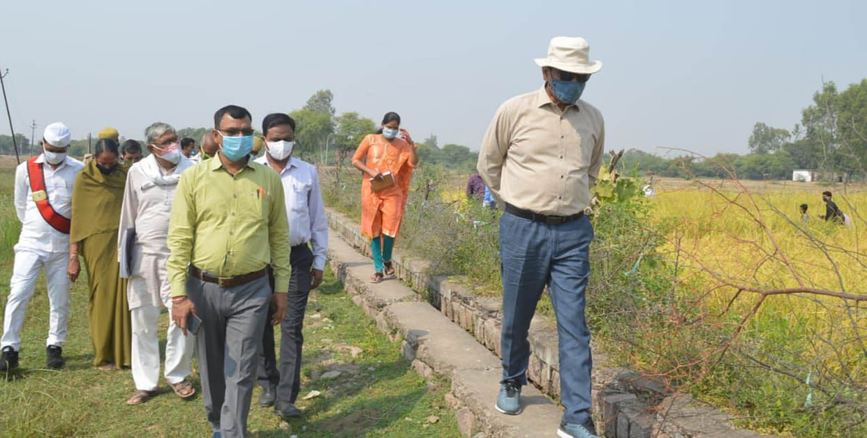 31.93 quintal paddy yield in one hectare