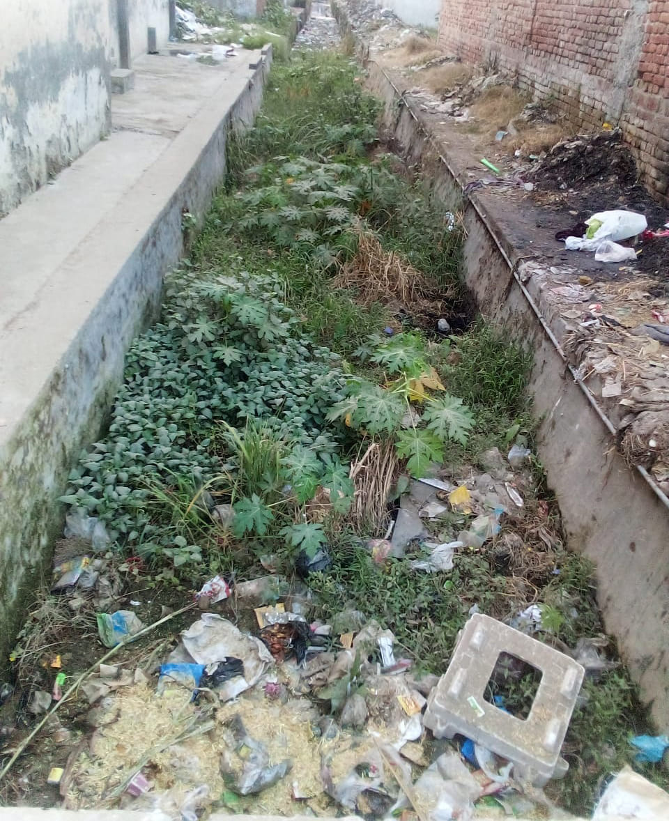 Due to lack of cleanliness, grass grew in the drains