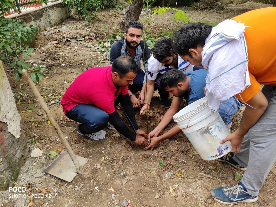 A team of youth engaged in cleaning the parks and bringing greenery