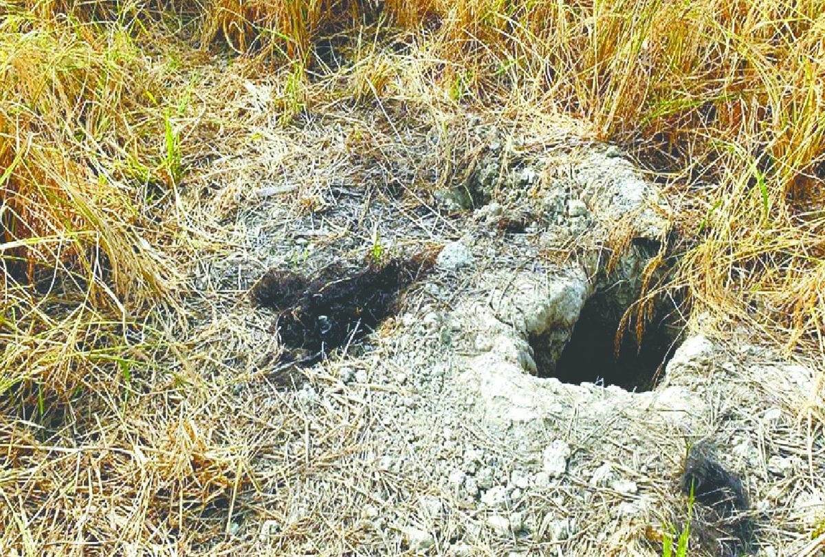 Psycho killer buried 14 pieces of woman dead body in mainpuri