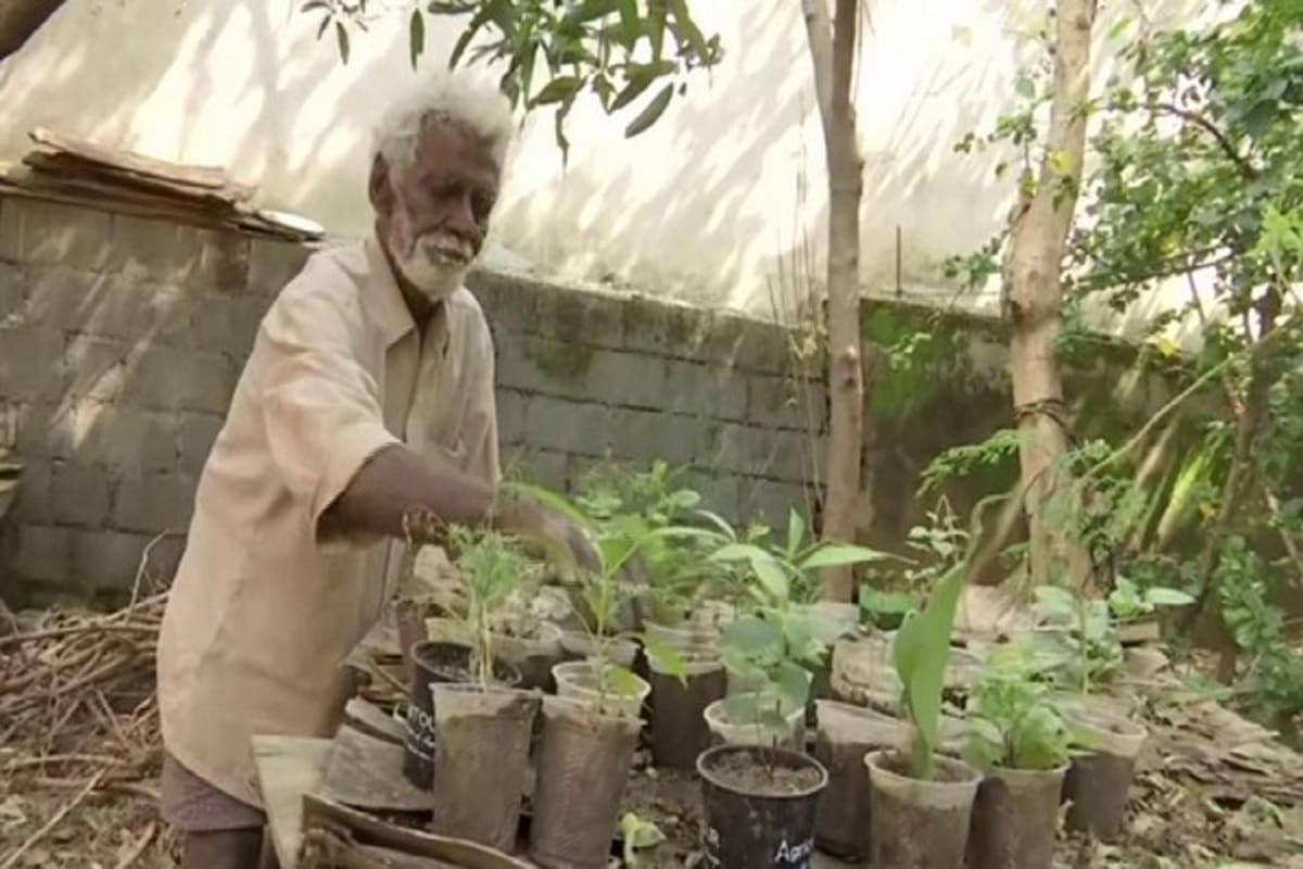 A viral photo changed fate of a 79-year-old Revanna Siddappa of Bengaluru, sales of medicinal plants doubled