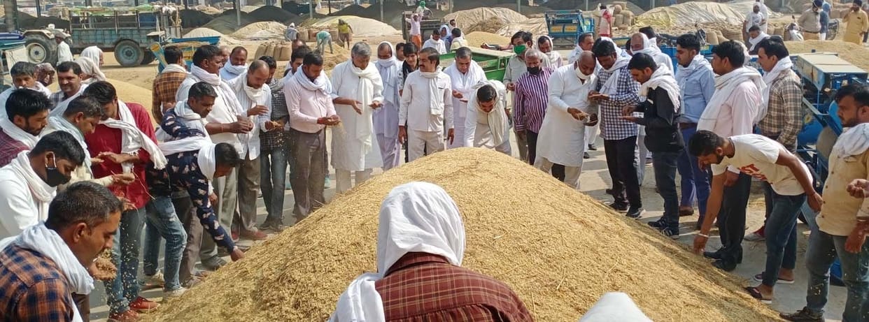 rice sell