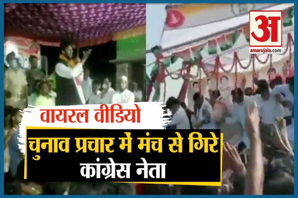 वायरल वीडियो