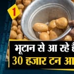 आलू