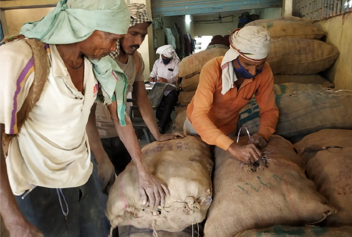 Onion prices down in gorakhpur mahewa mandi