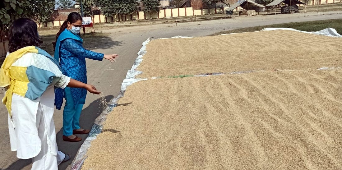 Paddy procurement will be under police supervision in Thanabhawan Mandi
