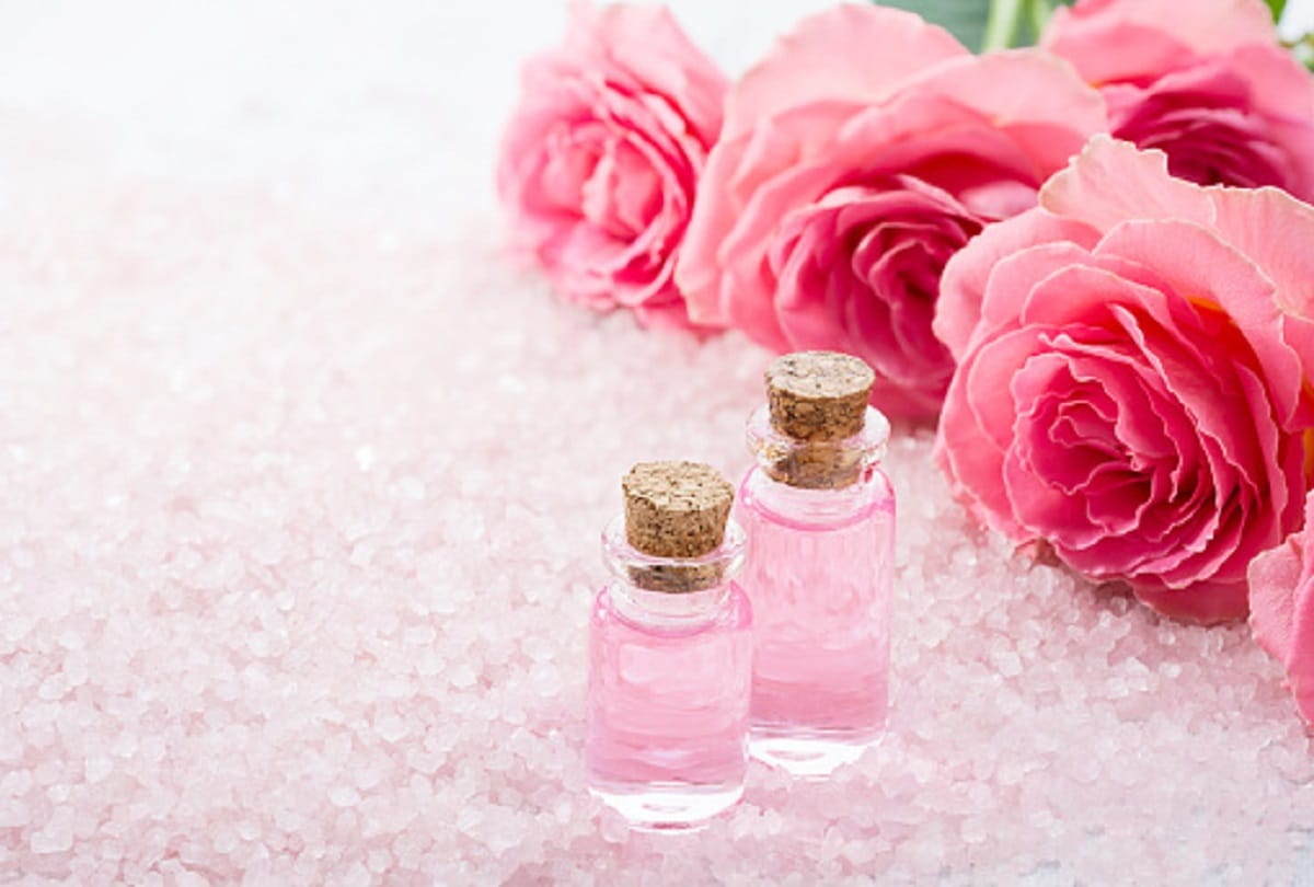 Skin Care Tips how to make rose water at home simple steps of making rose water