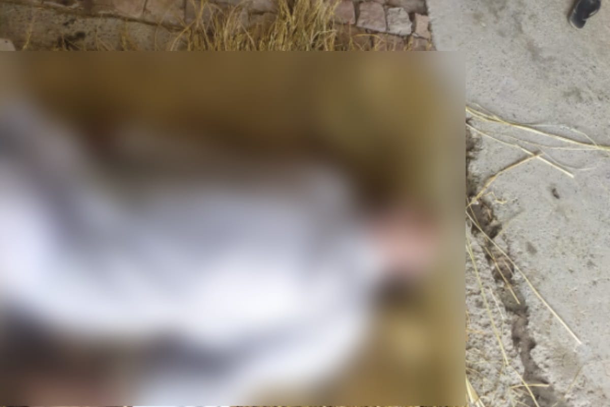 Saharanpur News: A farmer has dies of heart attack in a village of saharanpur after seeing nag nagin snake
