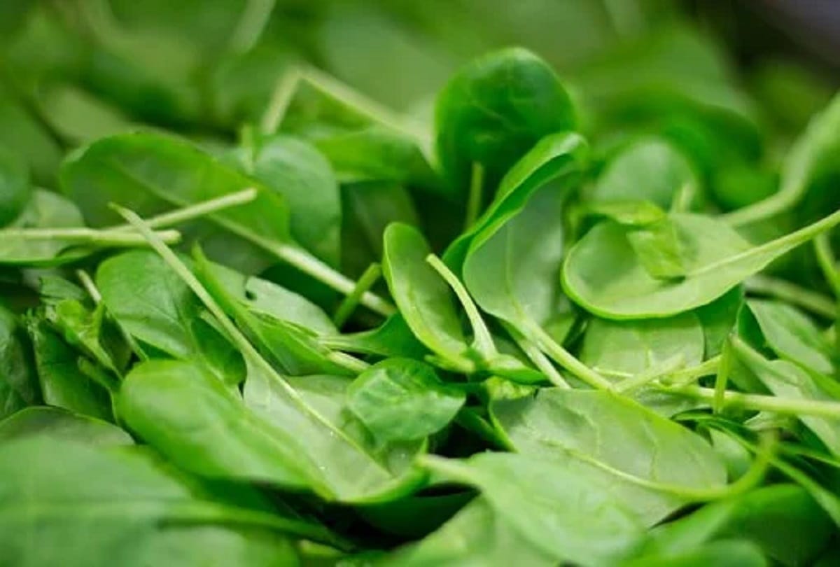 Health research Eating two servings of fruit and three servings of vegetables every day is the right mix for longevity