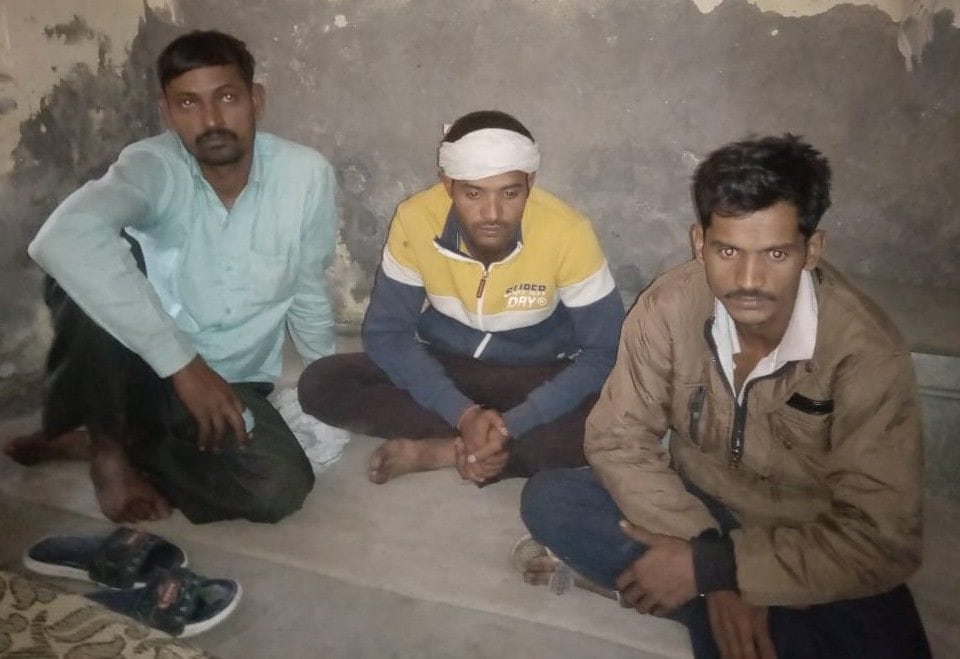 monkey die, three drank people beating,  case file