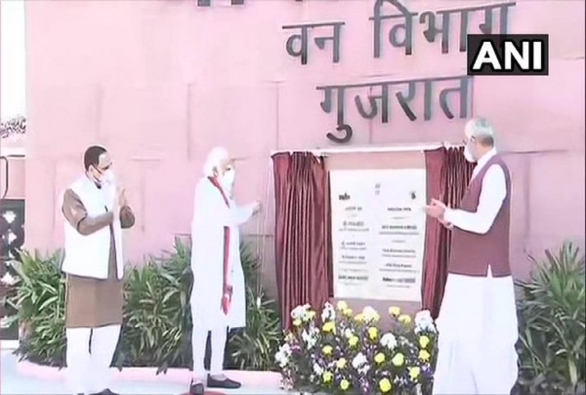 Important and big news stories of 31th October updates on Amar Ujala