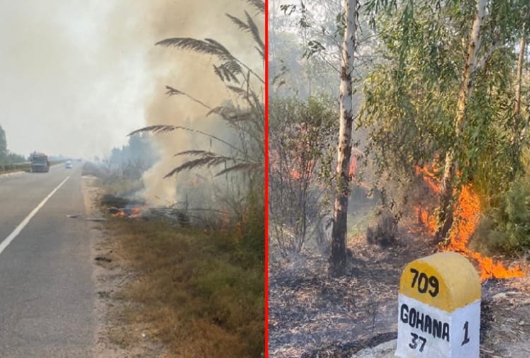 Fire breaks out on Greenbelt of Rohtak-Panipat highway