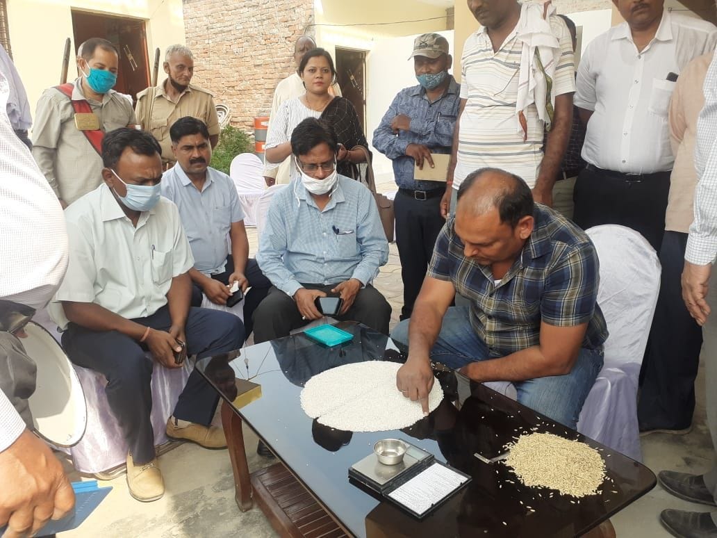 Hybrid paddy failed in investigation, will not buy at government centers