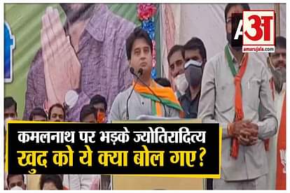 madhya pradesh by election 2020: jyotiradiya scindia statment yes i am a dog who serve owner after kamalnath comment