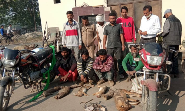 Four accused of hunting wildlife arrested
