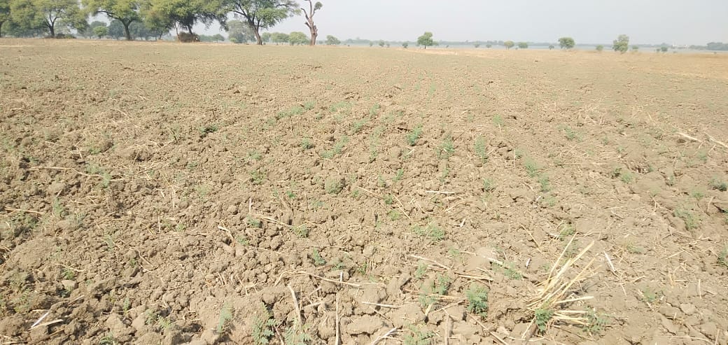 drought water crisis