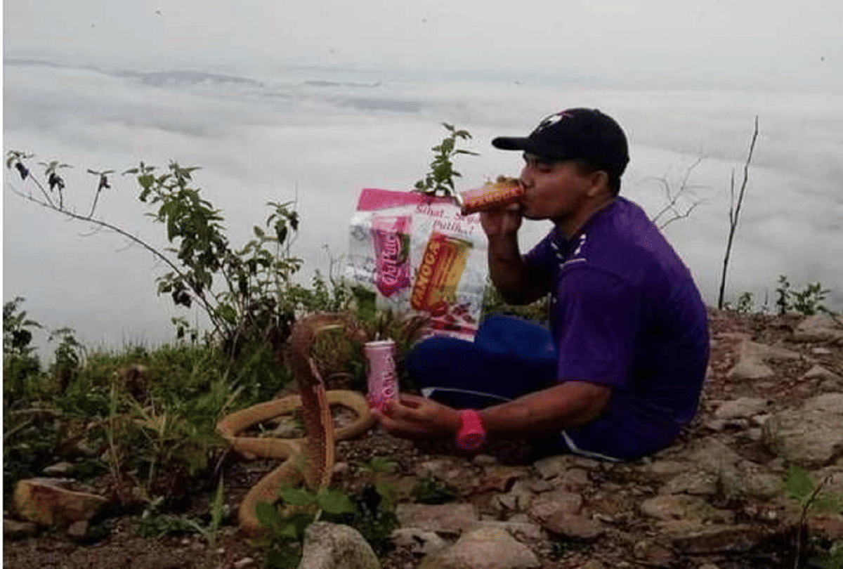 interesting love story man got married with snake photos goes viral