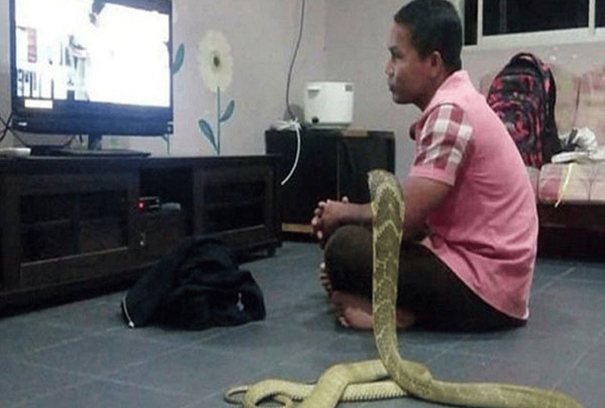 interesting love story man got married with snake photos goes viral