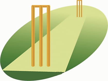 Cricket tournament will be held in Gaulapar, the winning team will get 31000