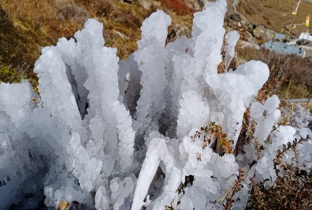 Uttarakhand weather forecast today update: Frost Freeze In Badrinath Dham, Bitter cold Increased