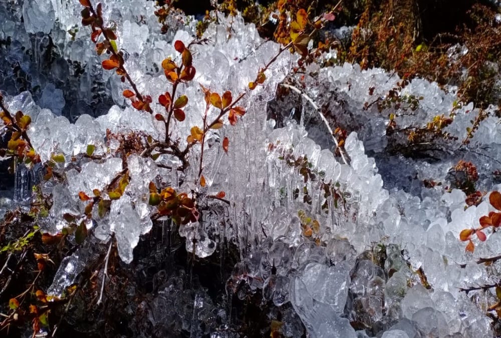 Uttarakhand weather forecast today update: Frost Freeze In Badrinath Dham, Bitter cold Increased